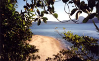 Turtle Bay